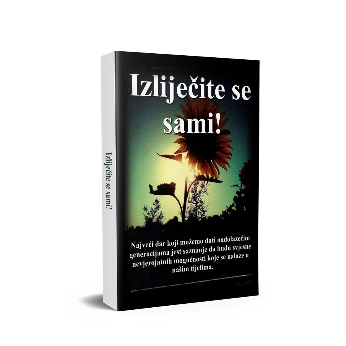 ’’Izliječite se sami’’, Alen Dodić