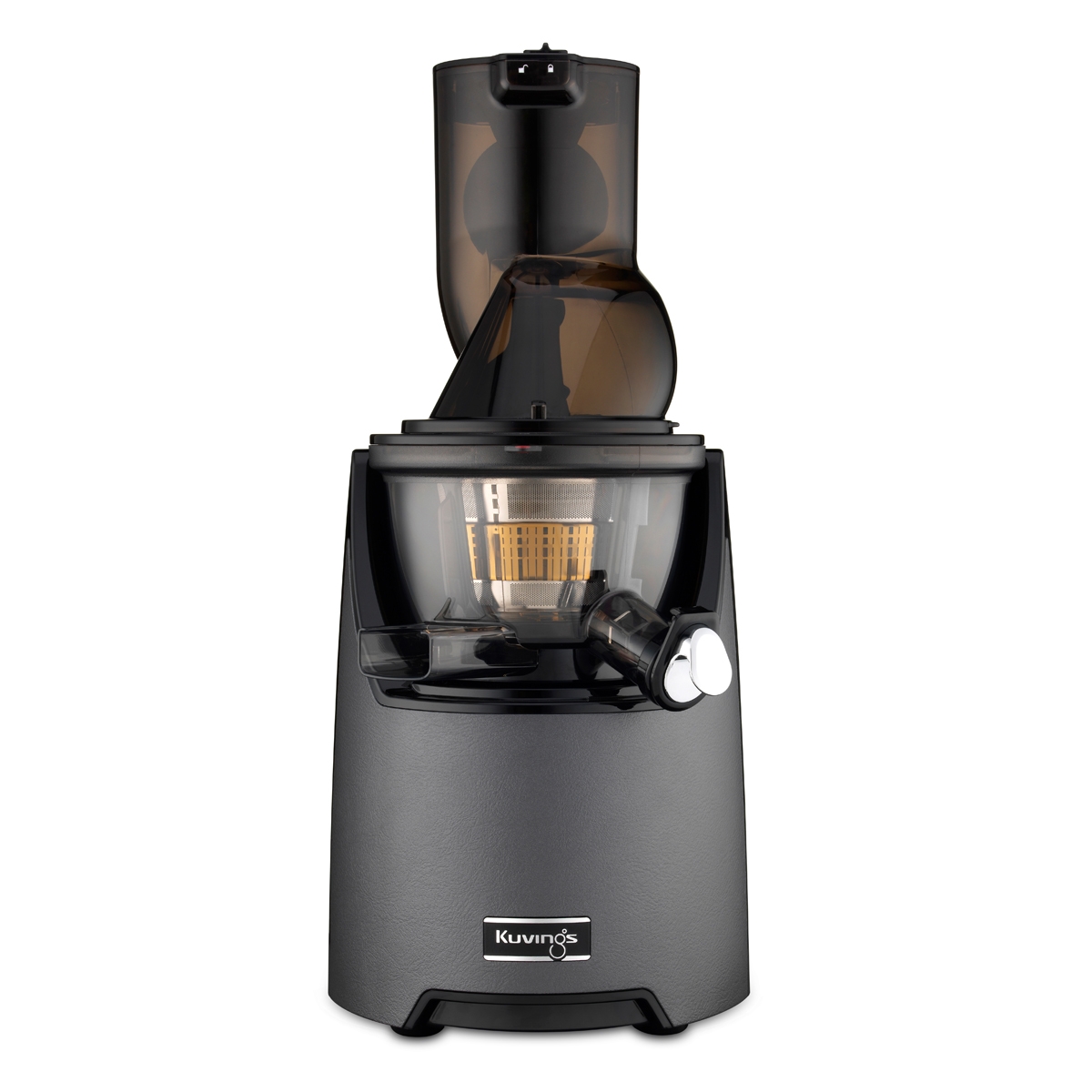 VerVita Elite juicer + smoothie sieve, gunmetal (used)