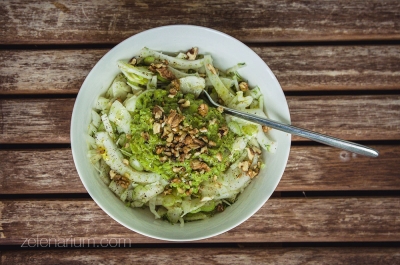 Salata s komoračem, avokadom i orasima