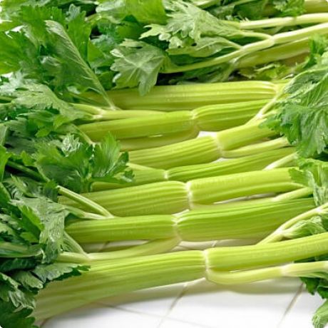 Ljekoviti i aromatični celerov zeleni sok