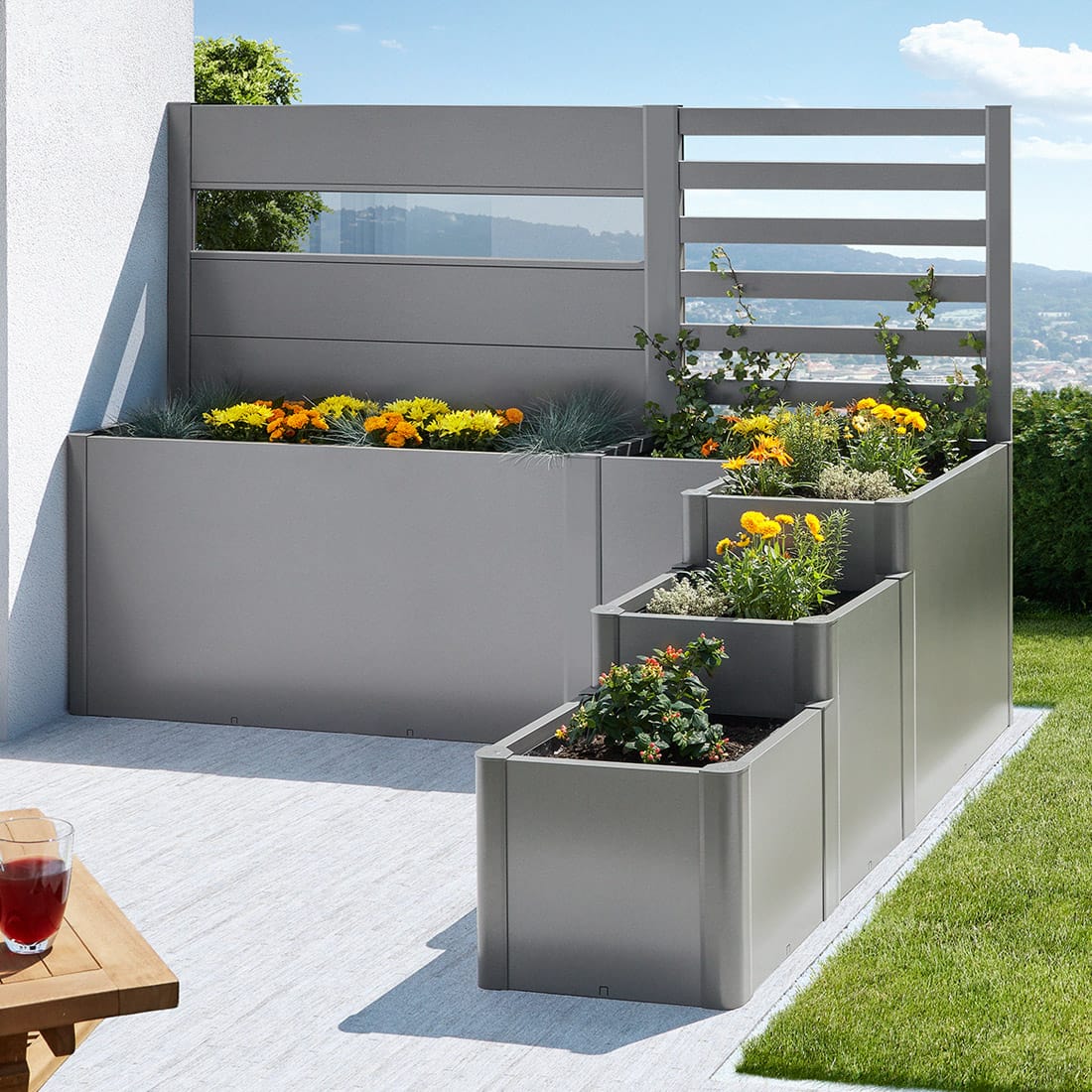 Biohort DaVinci DaVinci - VerVita