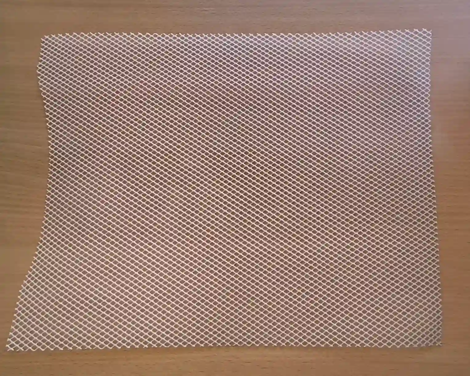 Mrežica za dehidrator XL, 1 kom - VerVita